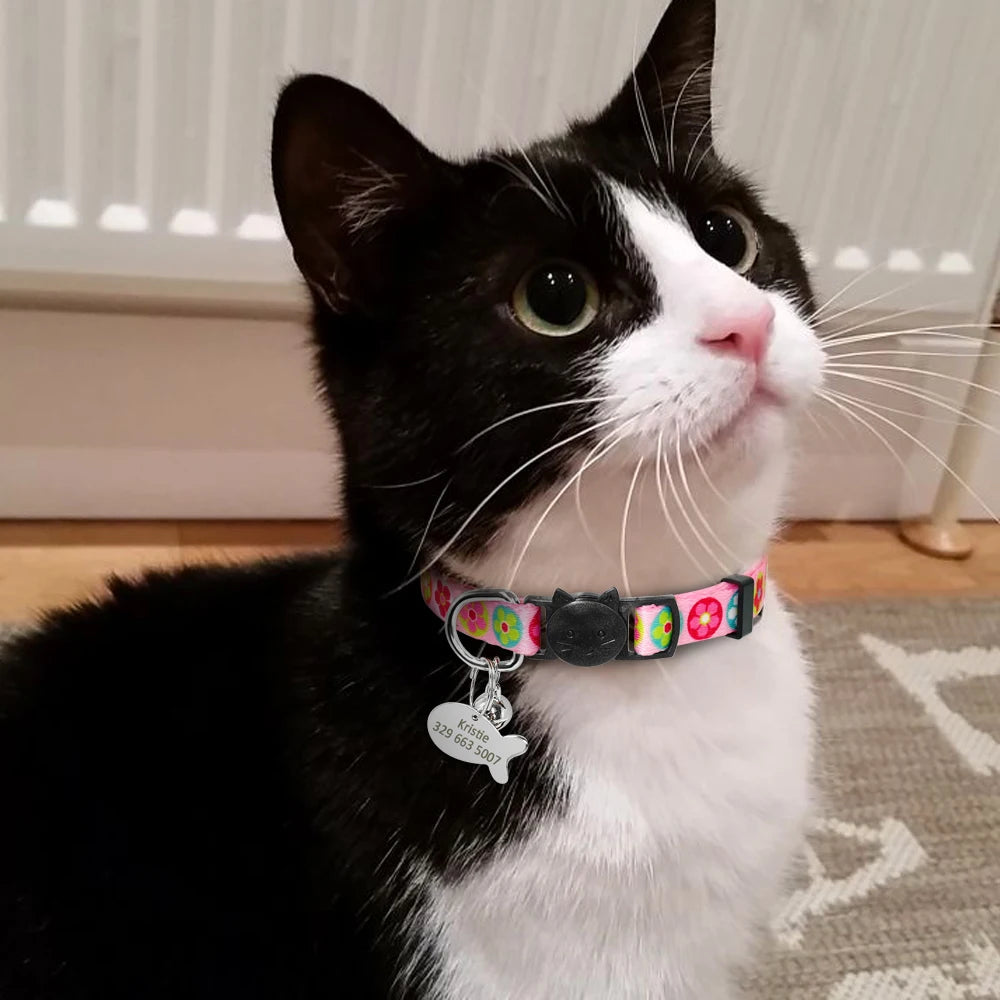 Personalized Cat Collar with Engraved Fish Tag – Adjustable Nylon Collar for Cats & Small Dogs