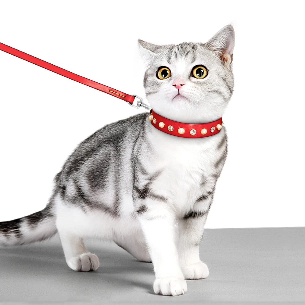 Genuine Leather Bling Collar & Leash Set – For Small & Medium Pets