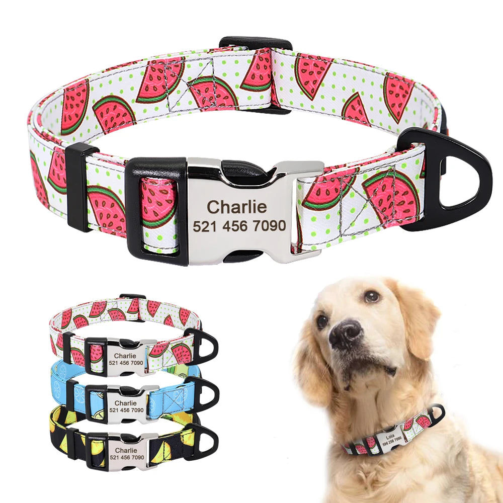 Personalized Nylon Dog Collar with Engraved Nameplate – Custom ID Tag for Small, Medium & Large Dogs