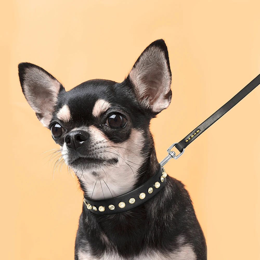 Genuine Leather Bling Collar & Leash Set – For Small & Medium Pets