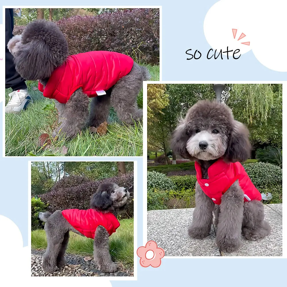 Warm Pet Dog Vest Clothes – Autumn &amp; Winter Jacket for Small Medium Dogs & Cats