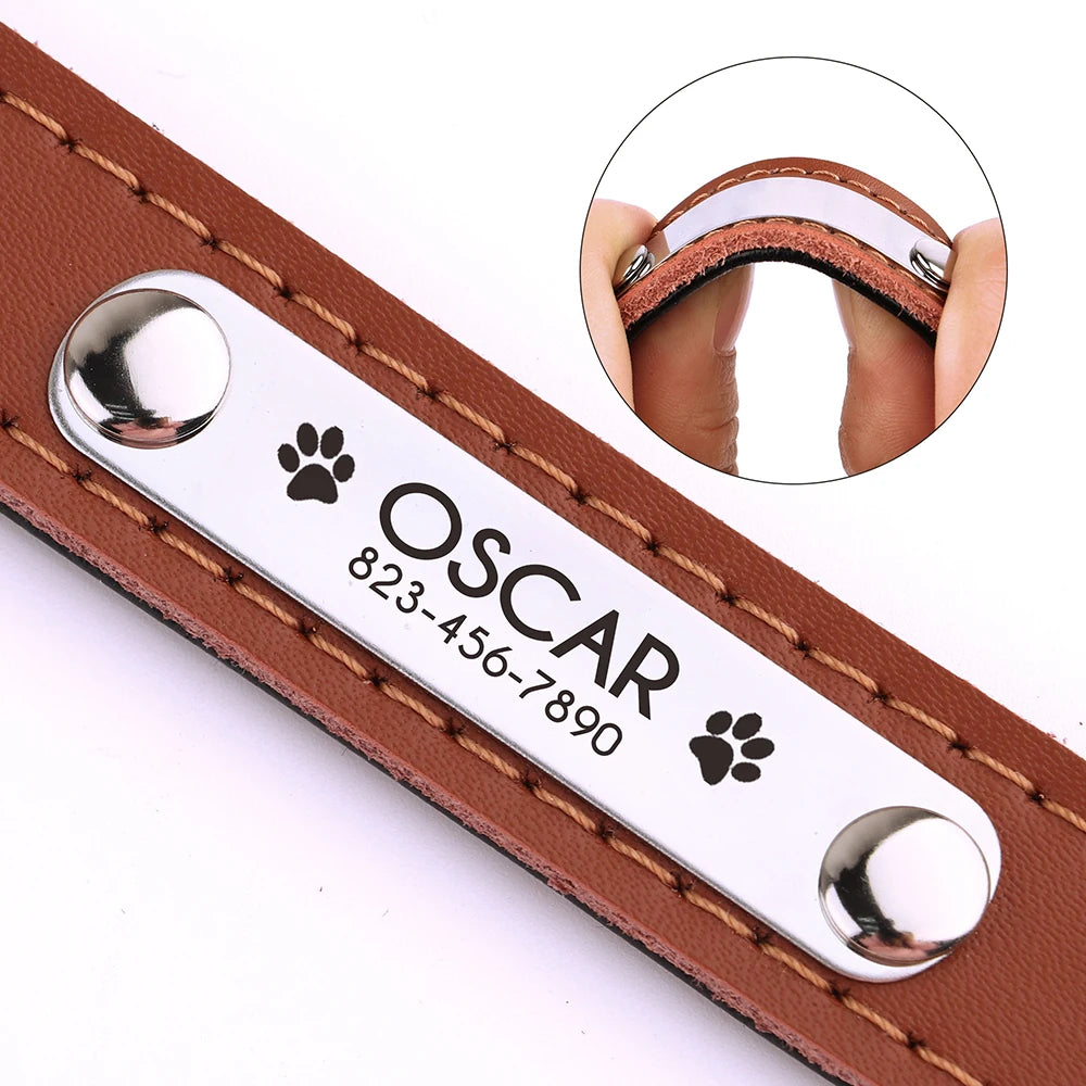 Custom Engraved Dog Collar – Personalized Puppy & Cat Collar with Nameplate – Adjustable for Small to Medium Dogs & Cats – Chihuahua, Pug, Yorkie