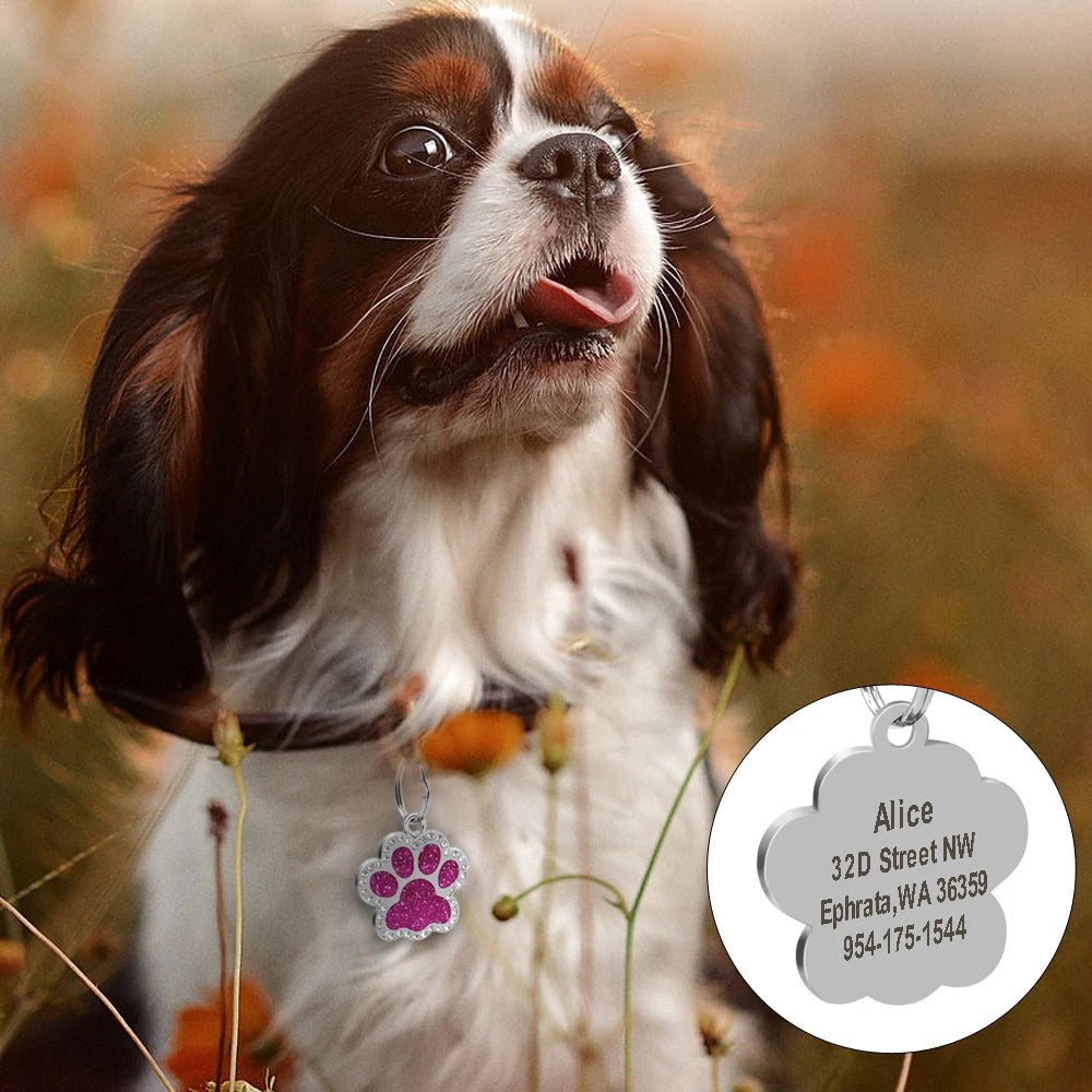 Personalized Dog & Cat ID Tag – Engraved Stainless Steel Pet Name & Address Tag