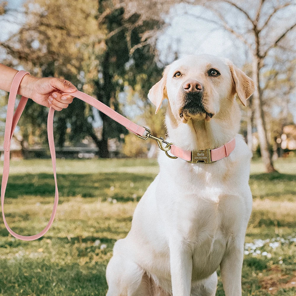 🦴 Personalized Dog Collars Collection – Custom Engraved, Stylish & Secure 🐾