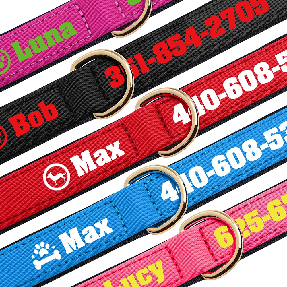 Custom Leather Dog Collar – Free Name & Number | Soft Padded & Adjustable