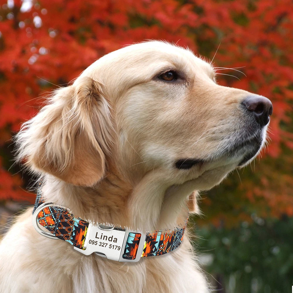 Personalized Nylon Dog Collar with Engraved Nameplate – Custom ID Tag for Small, Medium & Large Dogs