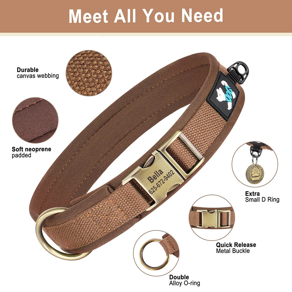 Personalized Nylon Dog Collar – Adjustable Soft Padded Pet ID Collar for Small, Medium & Large Dogs
