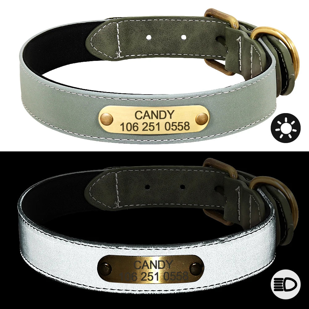 Custom Dog Collar – Personalized ID Tag Collar for Small, Medium, and Large Dogs