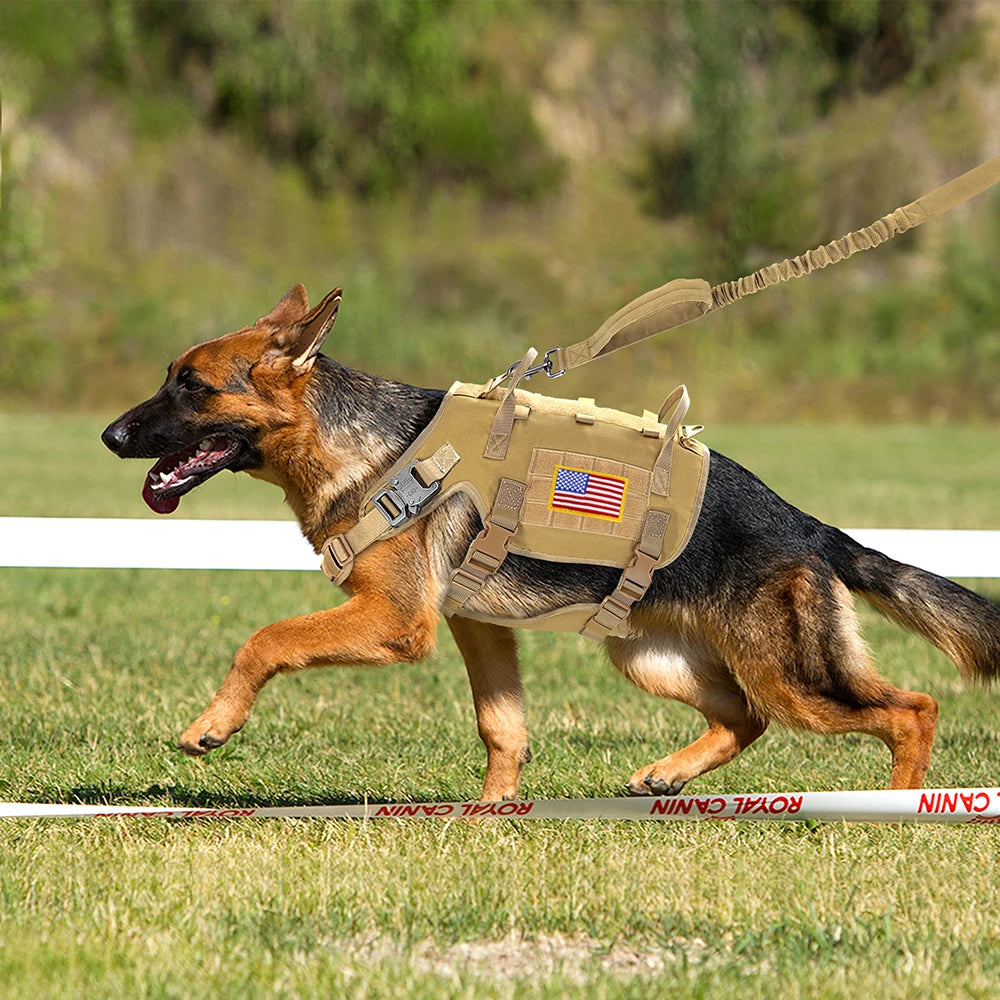 Tactical Dog Harness & Leash Set – Military MOLLE Vest for Large Dogs