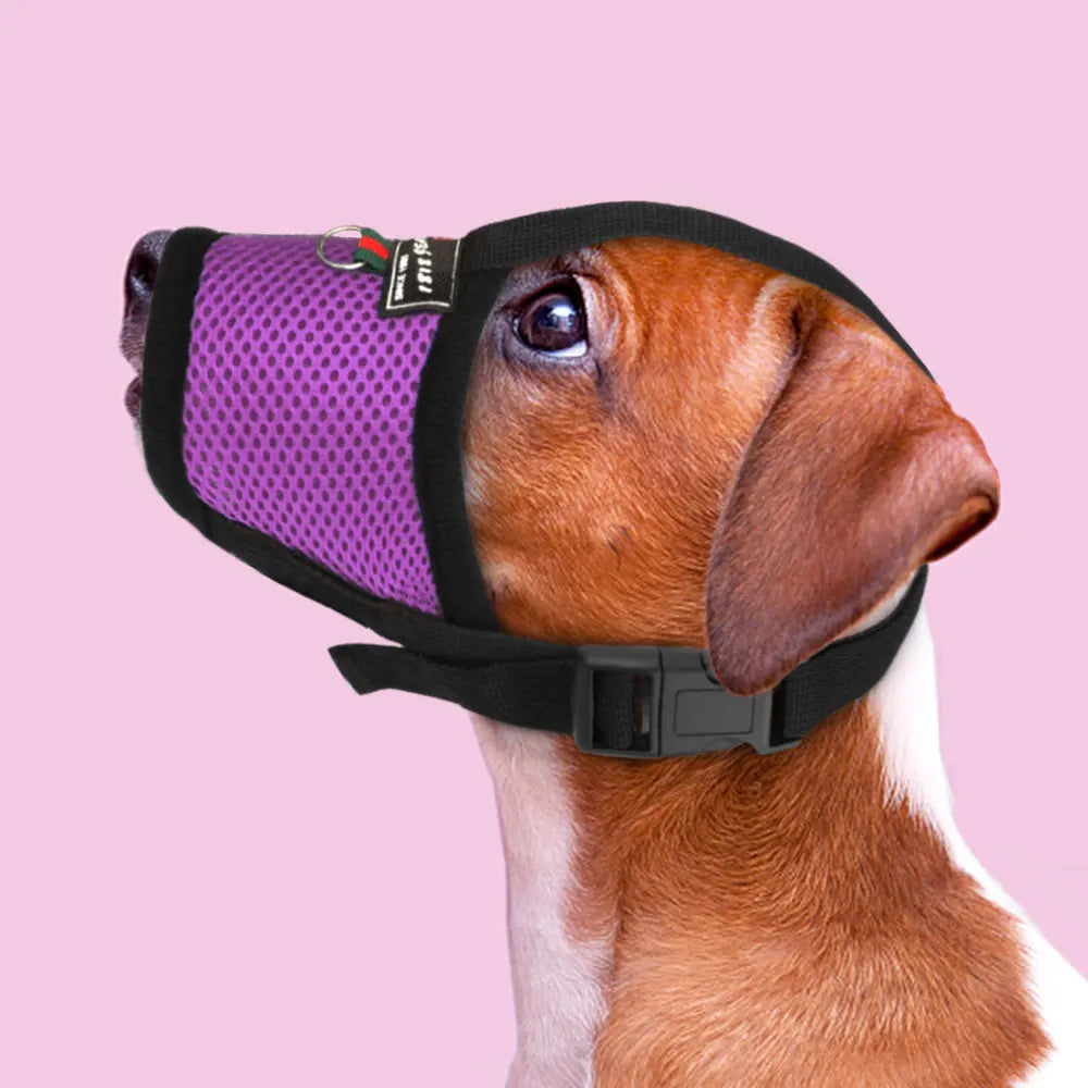 Mesh Nylon Dog Muzzle – Adjustable Breathable Anti-Bark Muzzle for Small, Medium & Large Dogs