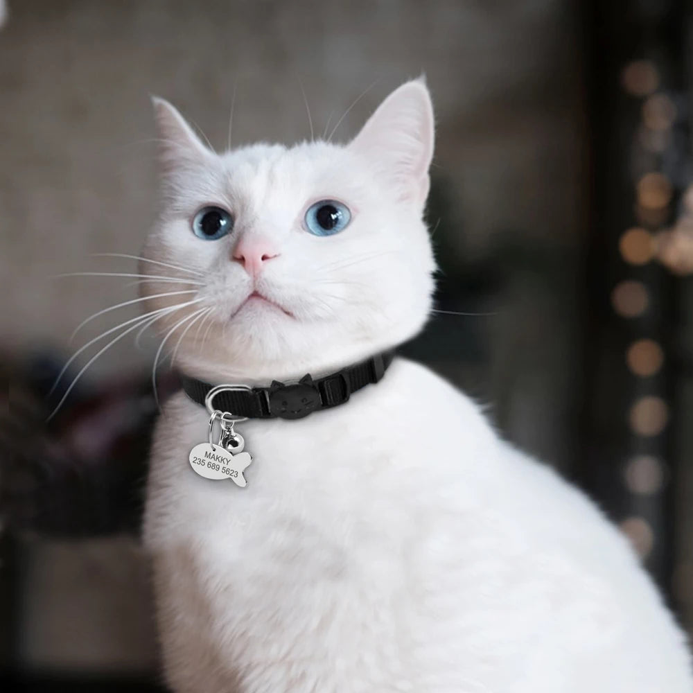Personalized Cat Collar with Engraved Fish Tag – Adjustable Nylon Collar for Cats & Small Dogs