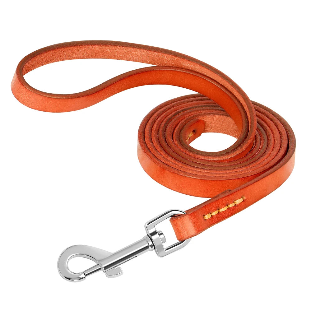 Genuine Leather Bling Collar & Leash Set – For Small & Medium Pets