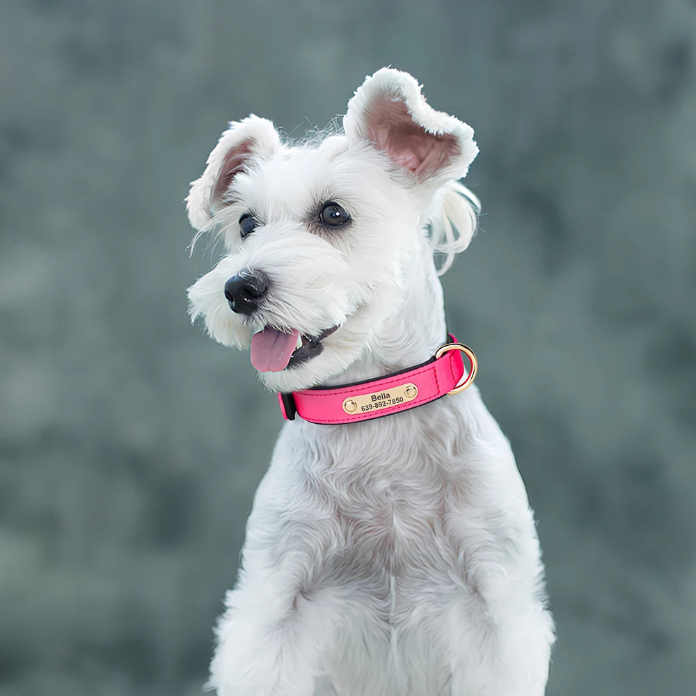 Custom Nylon Dog Collar – Waterproof Personalized Pet Collar with Engraved ID Nameplate for Small & Medium Dogs