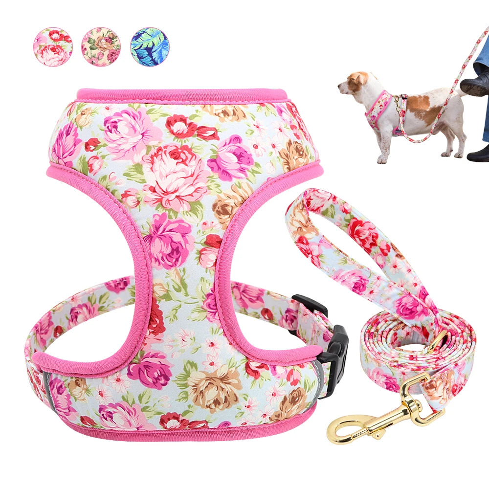 Cute Printed Dog Harness & Leash Set – Soft Mesh Adjustable Vest for Small & Medium Dogs & Cats (Chihuahua, Yorkie, Pug, Bulldog, Kitten)