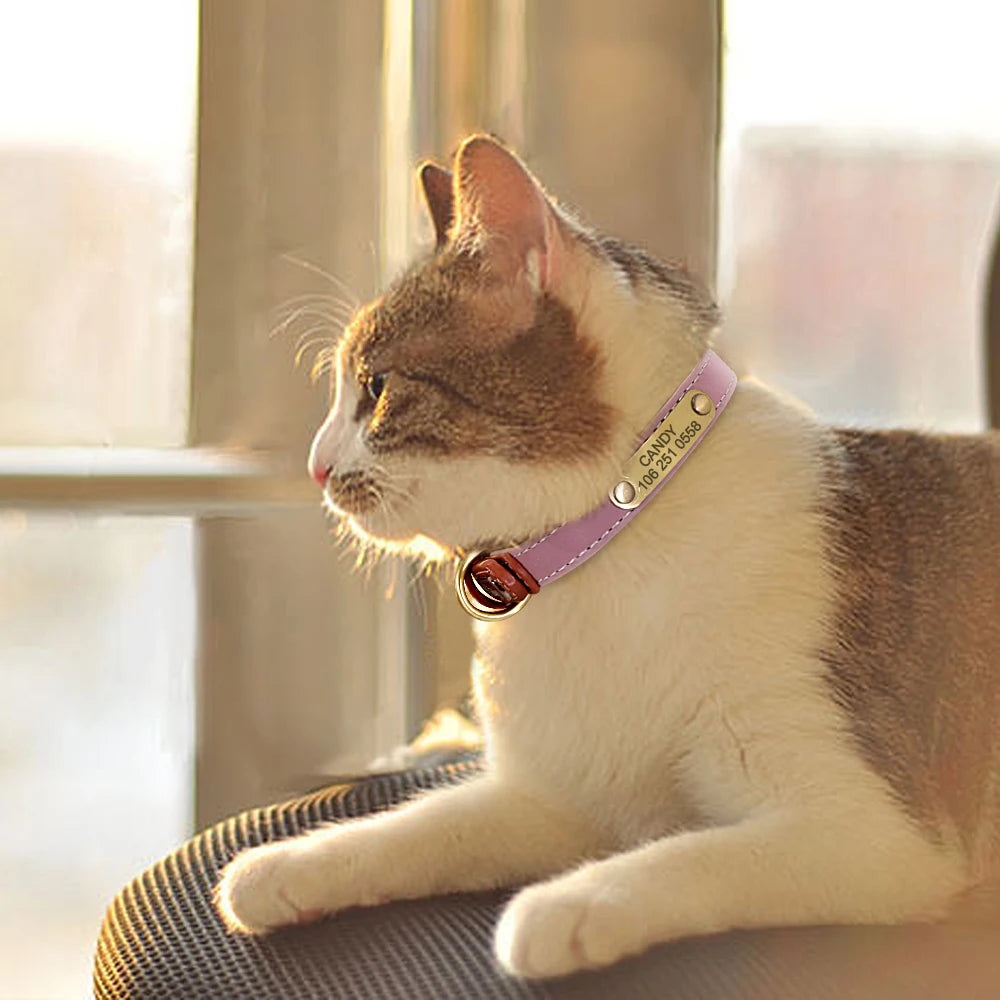 Custom Dog Collar – Personalized ID Tag Collar for Small, Medium, and Large Dogs