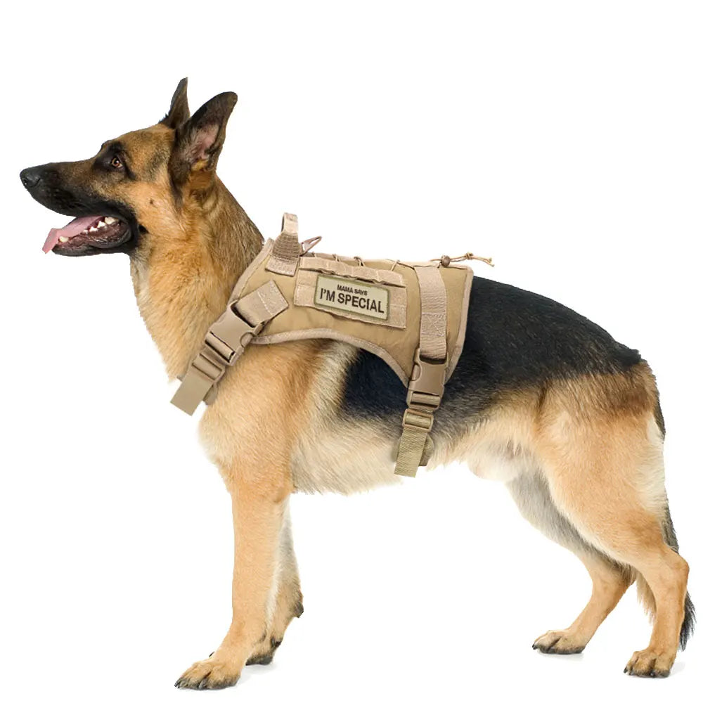 Dog Harness & Collar Patch Tags – “I’m Special”, “In Training”, “No Touch No Talk No Eye Contact”