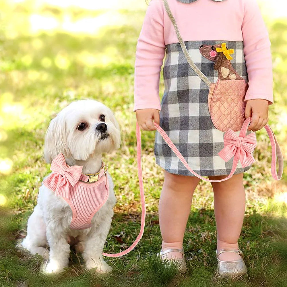 3pcs/lot Dog Collar Harness and Leash Set – Cute Bowtie Design for Small & Medium Dogs