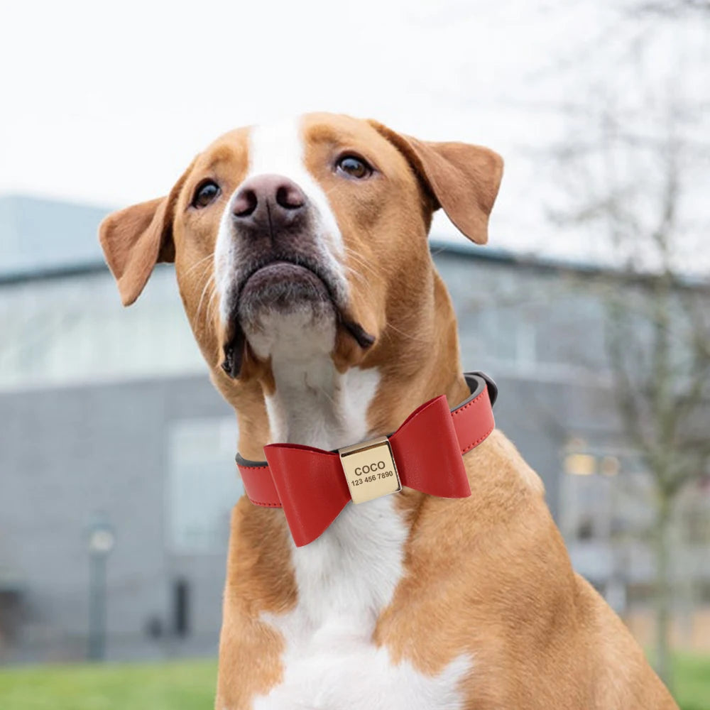 Personalized Dog Collar Customized Leather Pet ID Name Collar With Bowknot Free Engraved For Small Medium Dogs Cats Pet Supplies
