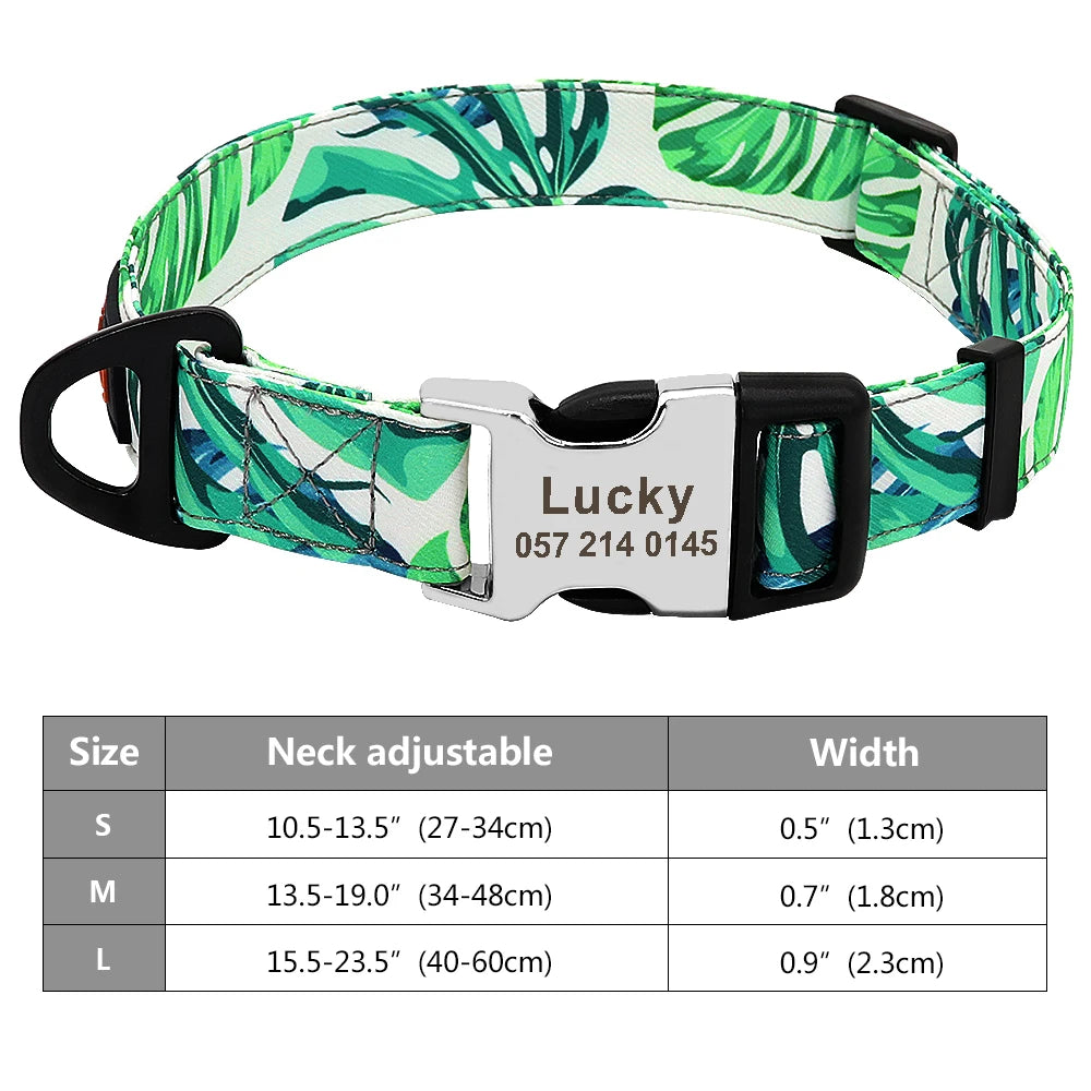 Personalized Nylon Dog Collar with Engraved Nameplate – Custom ID Tag for Small, Medium & Large Dogs