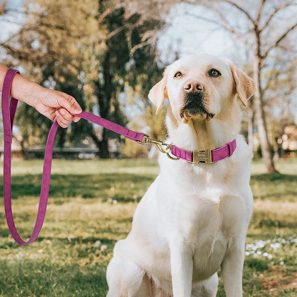 🦴 Personalized Dog Collars Collection – Custom Engraved, Stylish & Secure 🐾