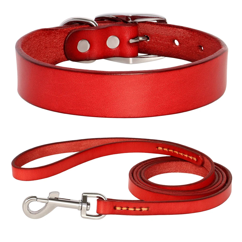 Genuine Leather Dog Collar & Leash Set – Adjustable for Small, Medium & Large Dogs and Cats (XS–XL)