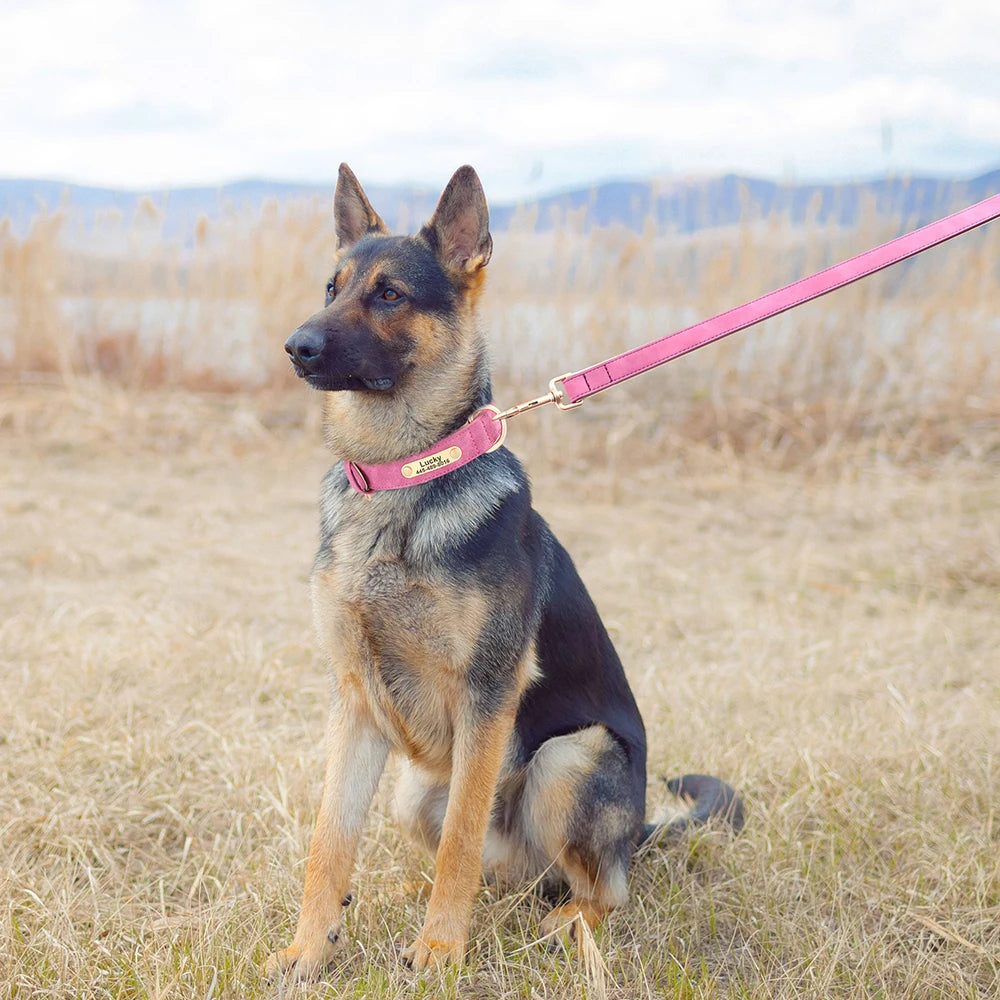 Custom PU Leather Dog Collar & Leash Set – Personalized Engraved Nameplate ID Tag for Small & Medium Dogs