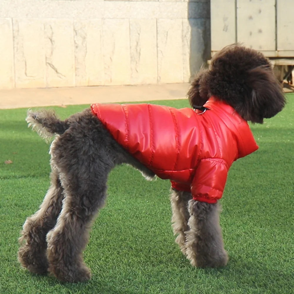 Winter Waterproof Dog Jacket – PU Leather Puffer Coat for Small & Medium Dogs (Chihuahua, Yorkie, French Bulldog)
