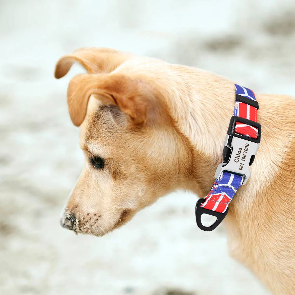 Personalized Nylon Dog Collar with Engraved Nameplate – Custom ID Tag for Small, Medium & Large Dogs
