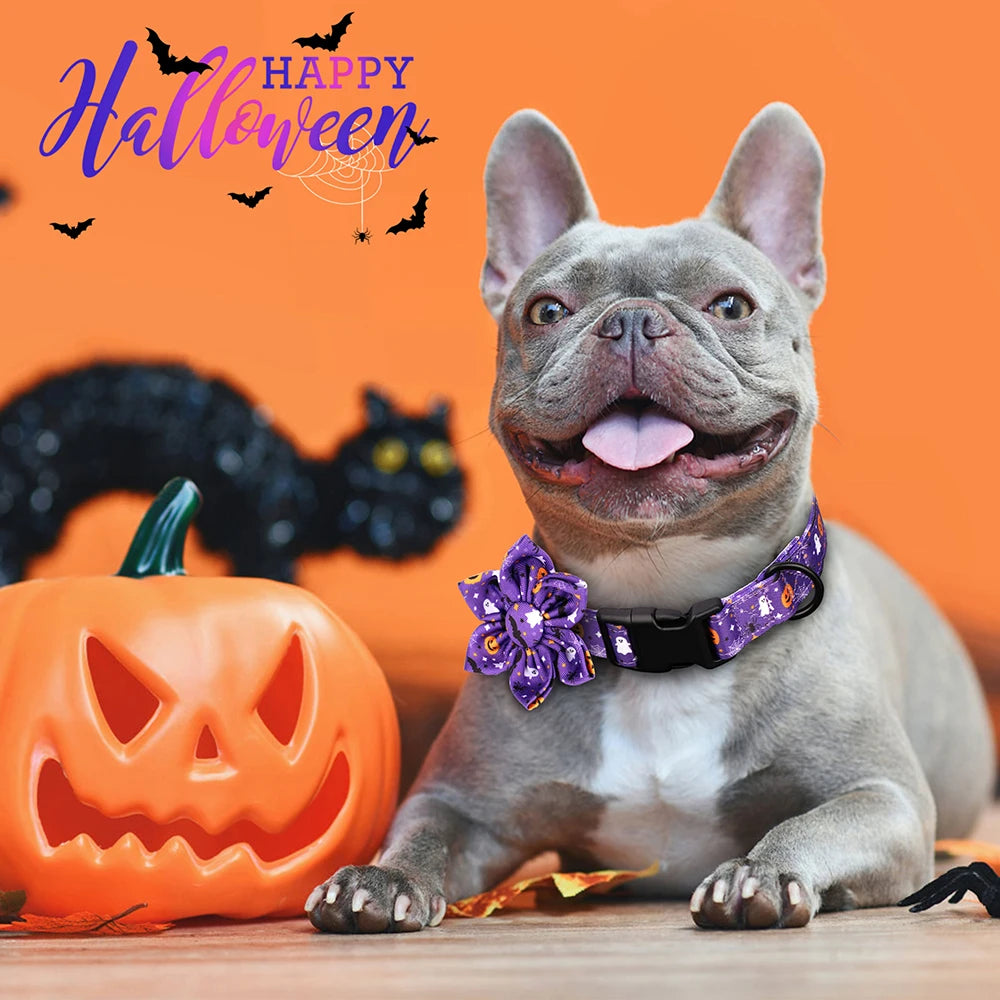 Halloween Nylon Dog Collar with Flower – Adjustable Pumpkin Pet Collar for Small Medium Large Dogs