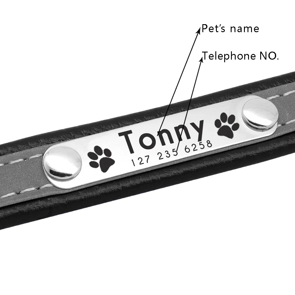 Reflective Personalized Dog Collar with Free Engraving – Adjustable for Small & Medium Pets