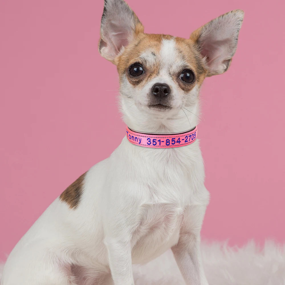 🦴 Custom Embroidered Reflective Dog Collar – Personalized Pet ID Name Nylon Collar for Small, Medium & Large Dogs