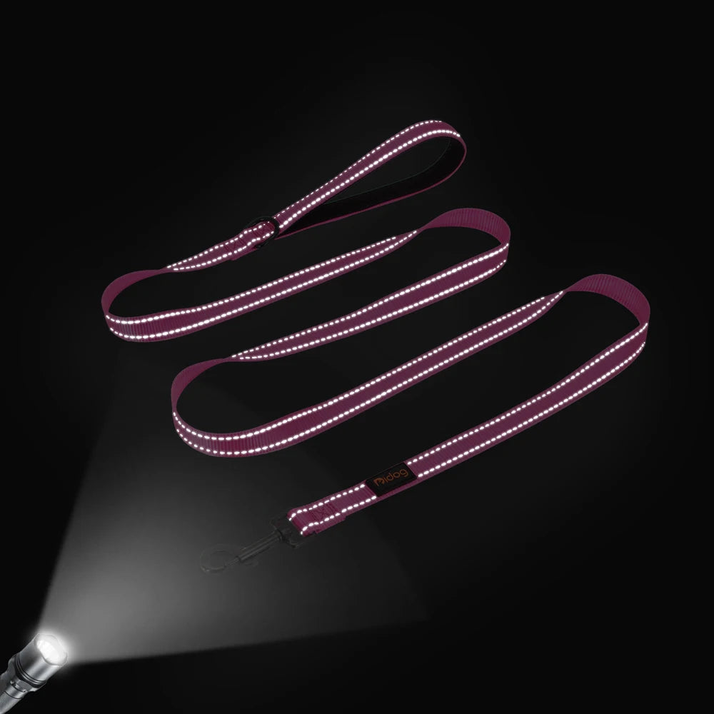 Nylon Reflective Dog Leash – Soft &amp; Durable Pet Lead