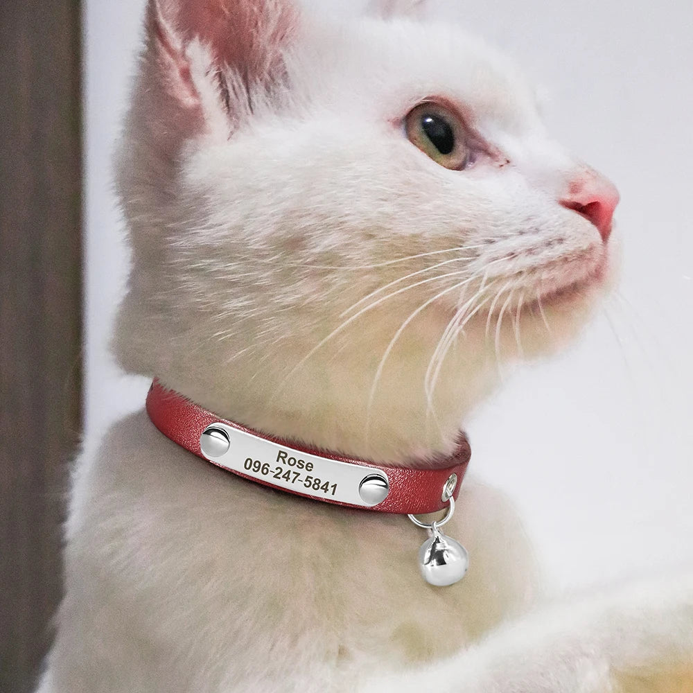 Personalized Leather Cat Collar – Adjustable Kitten & Puppy Collar with Free Engraved ID Tag