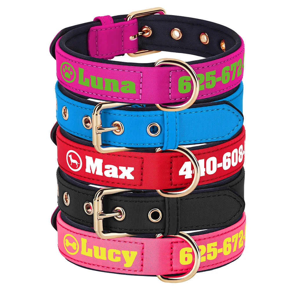 Custom Leather Dog Collar – Free Name & Number | Soft Padded & Adjustable