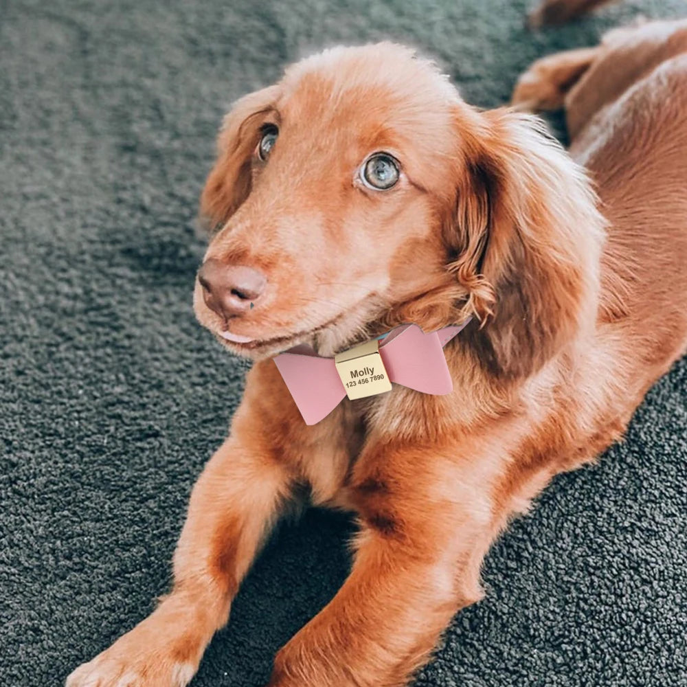 Personalized Dog Collar Customized Leather Pet ID Name Collar With Bowknot Free Engraved For Small Medium Dogs Cats Pet Supplies