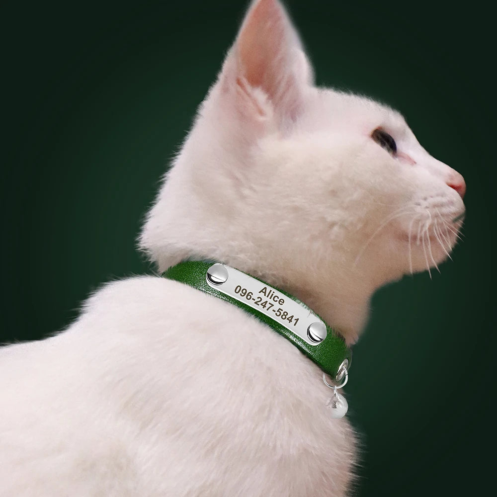 Personalized Leather Cat Collar – Adjustable Kitten & Puppy Collar with Free Engraved ID Tag