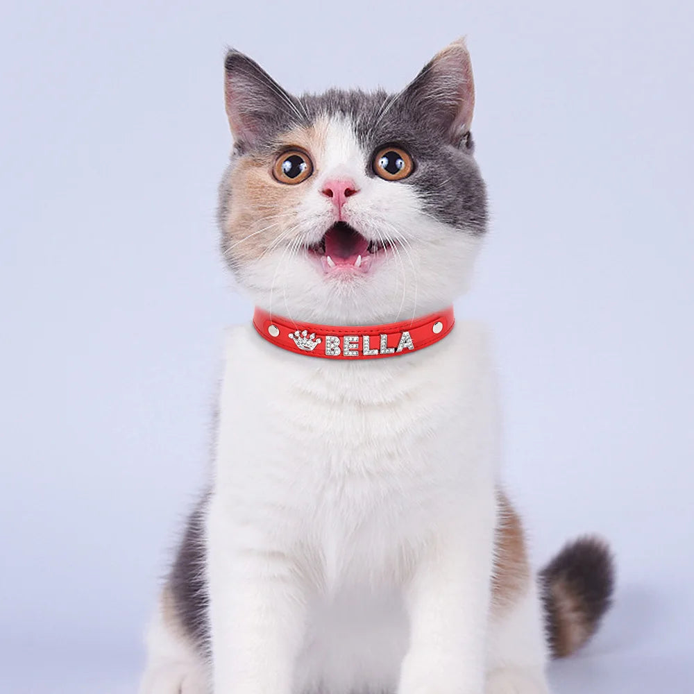 ✨ Personalized Bling Rhinestone Dog Collar – For Small Dogs & Cats ✨