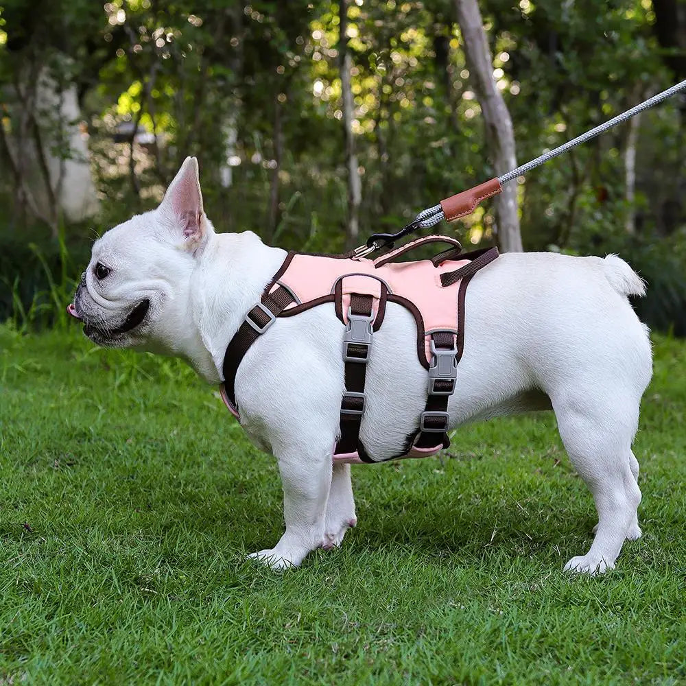 Reflective Dog Harness Vest – No Pull Nylon Adjustable Pet Harness with Double Handles for Small & Medium Dogs (Pitbull, French Bulldog)