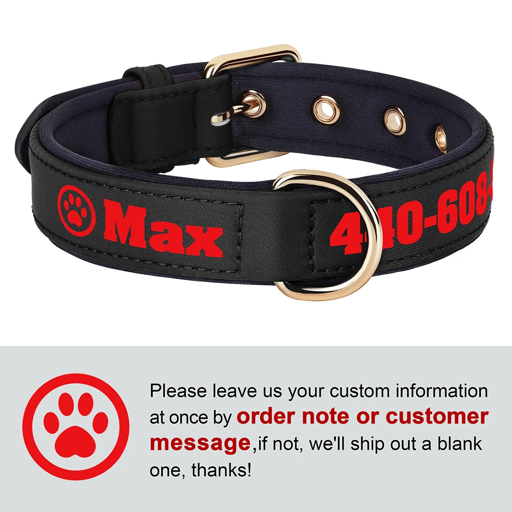 Custom Leather Dog Collar – Free Name & Number | Soft Padded & Adjustable