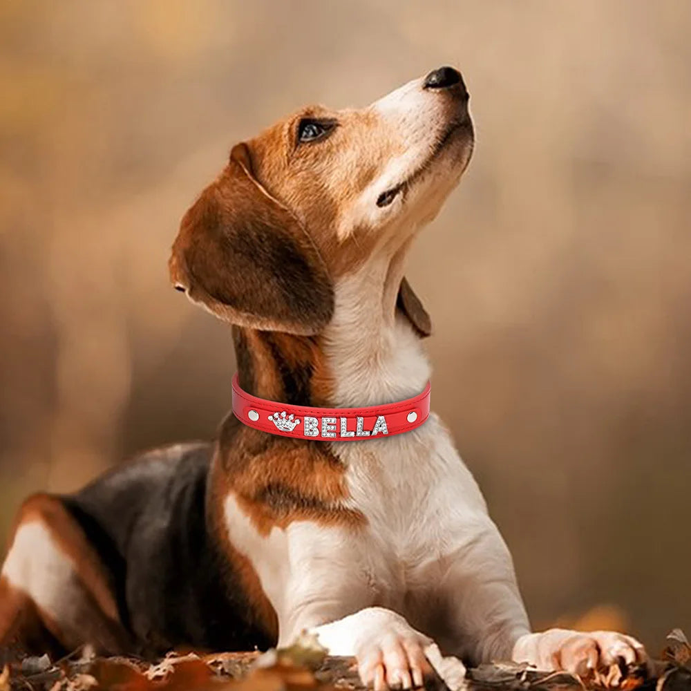 ✨ Personalized Bling Rhinestone Dog Collar – For Small Dogs & Cats ✨