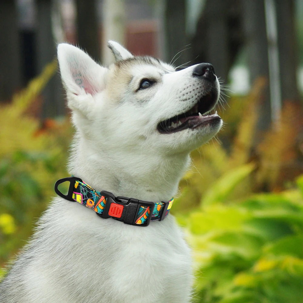 Nylon Custom Dog Collar & Leash Set with Personalized Leather Nameplate – Adjustable ID Tag for Small, Medium & Large Dogs