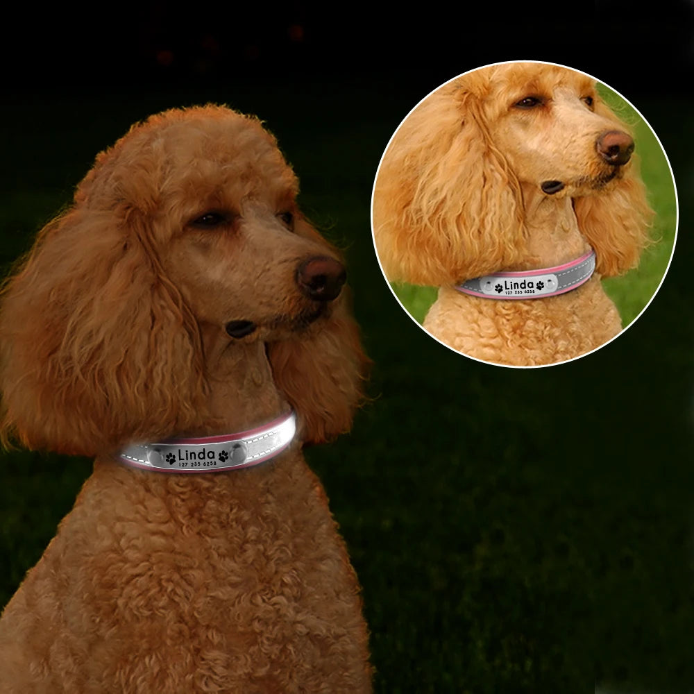 Reflective Personalized Dog Collar with Free Engraving – Adjustable for Small & Medium Pets