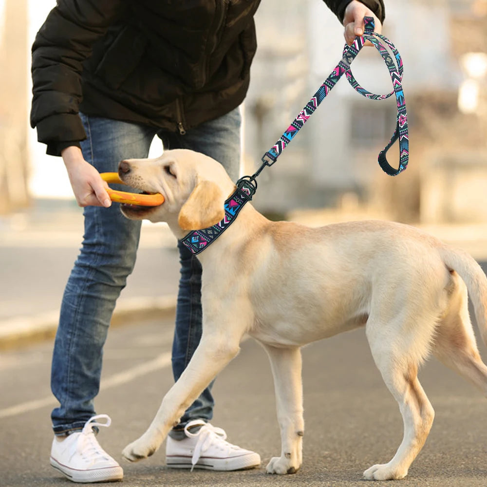 Reflective Padded Dog Collar & Leash Set – Fashionable, Adjustable, Comfortable