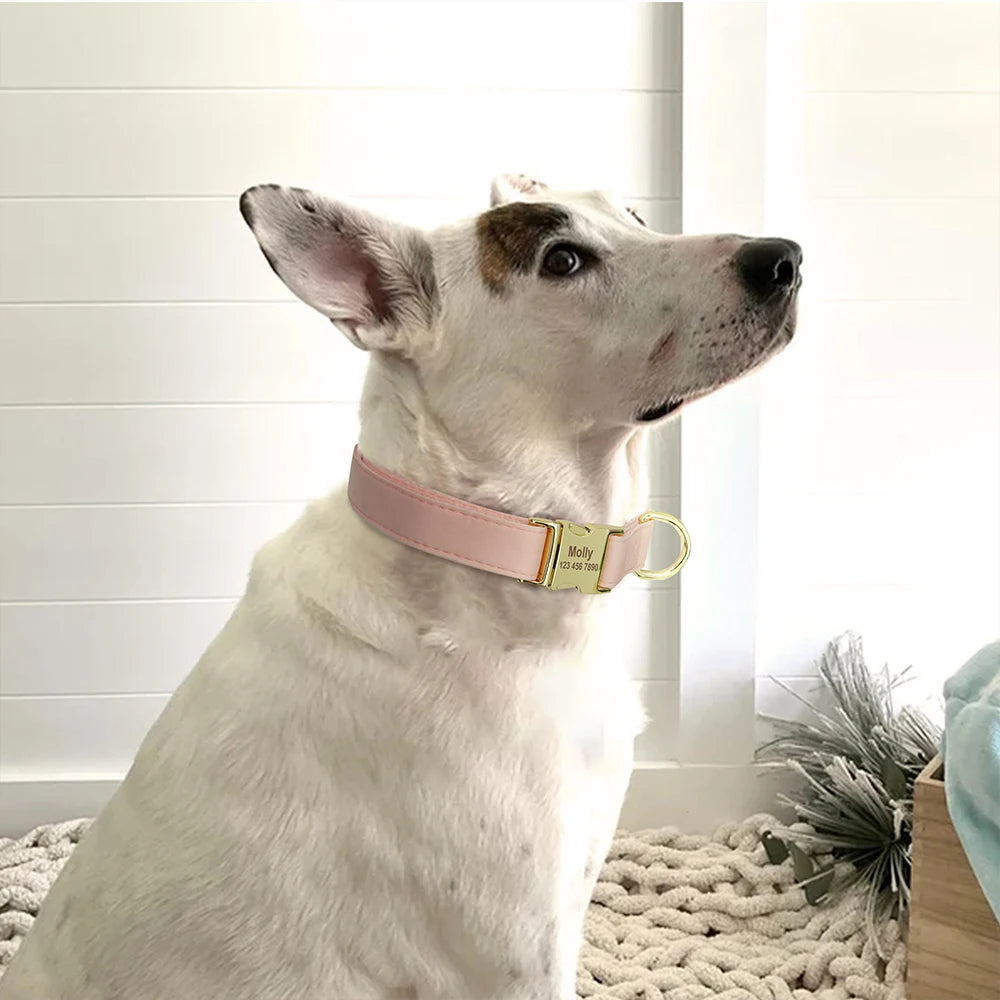 Engraved Dog Collar – Personalized ID Tag for Dogs & Cats (XS–L)