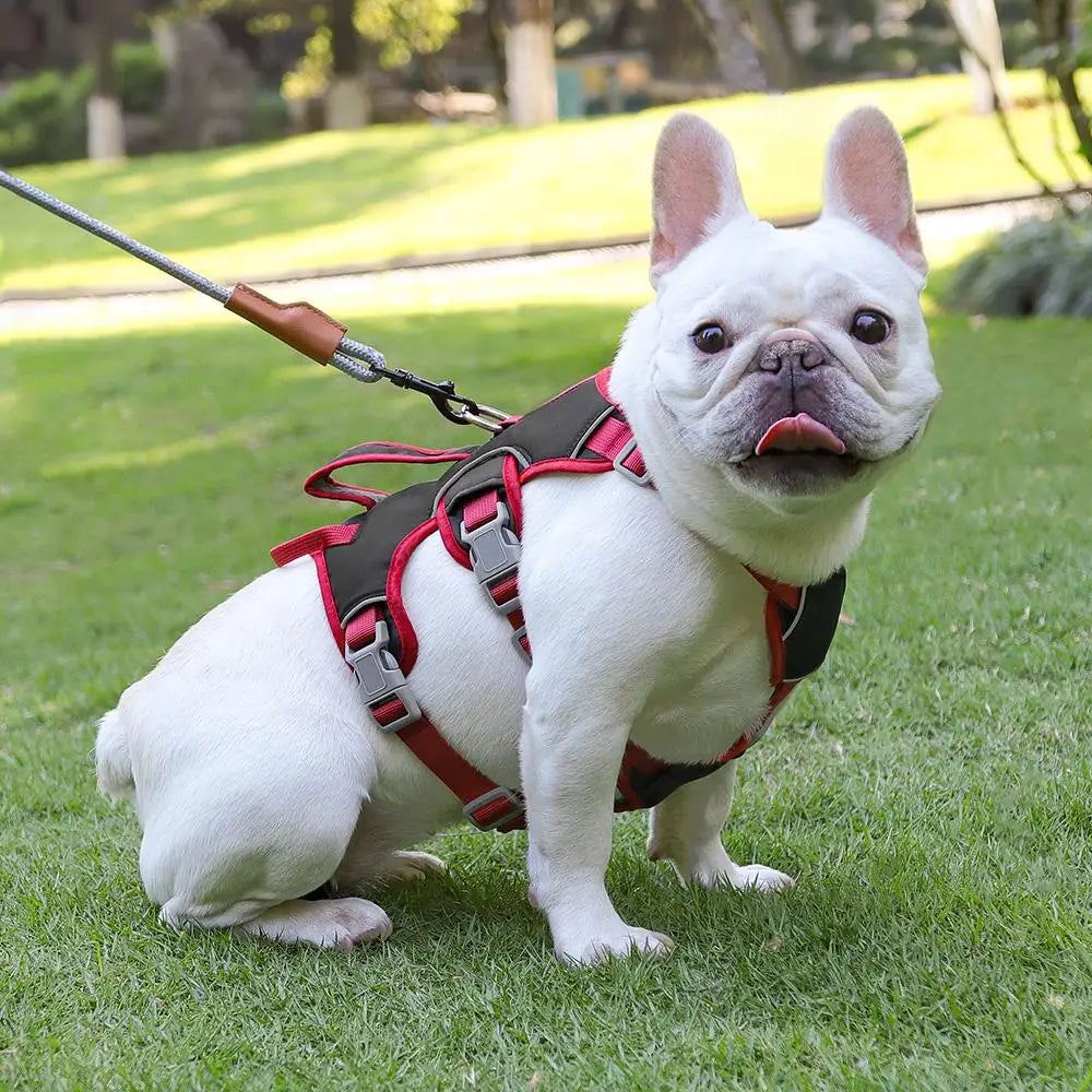 Reflective Dog Harness Vest – No Pull Nylon Adjustable Pet Harness with Double Handles for Small & Medium Dogs (Pitbull, French Bulldog)