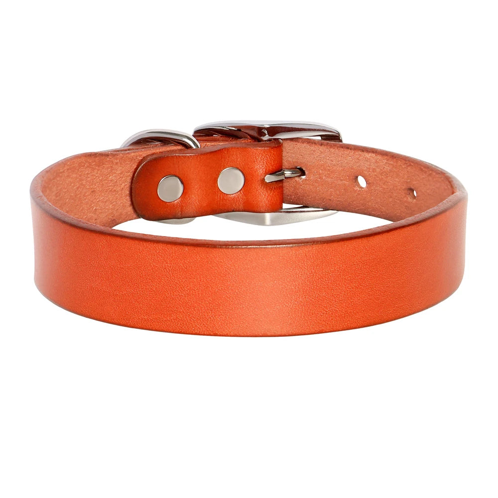 Genuine Leather Dog Collar & Leash Set – Adjustable for Small, Medium & Large Dogs and Cats (XS–XL)