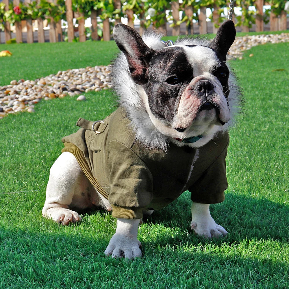 Winter Warm Dog Coat – Soft Hooded Jacket for Small & Medium Dogs