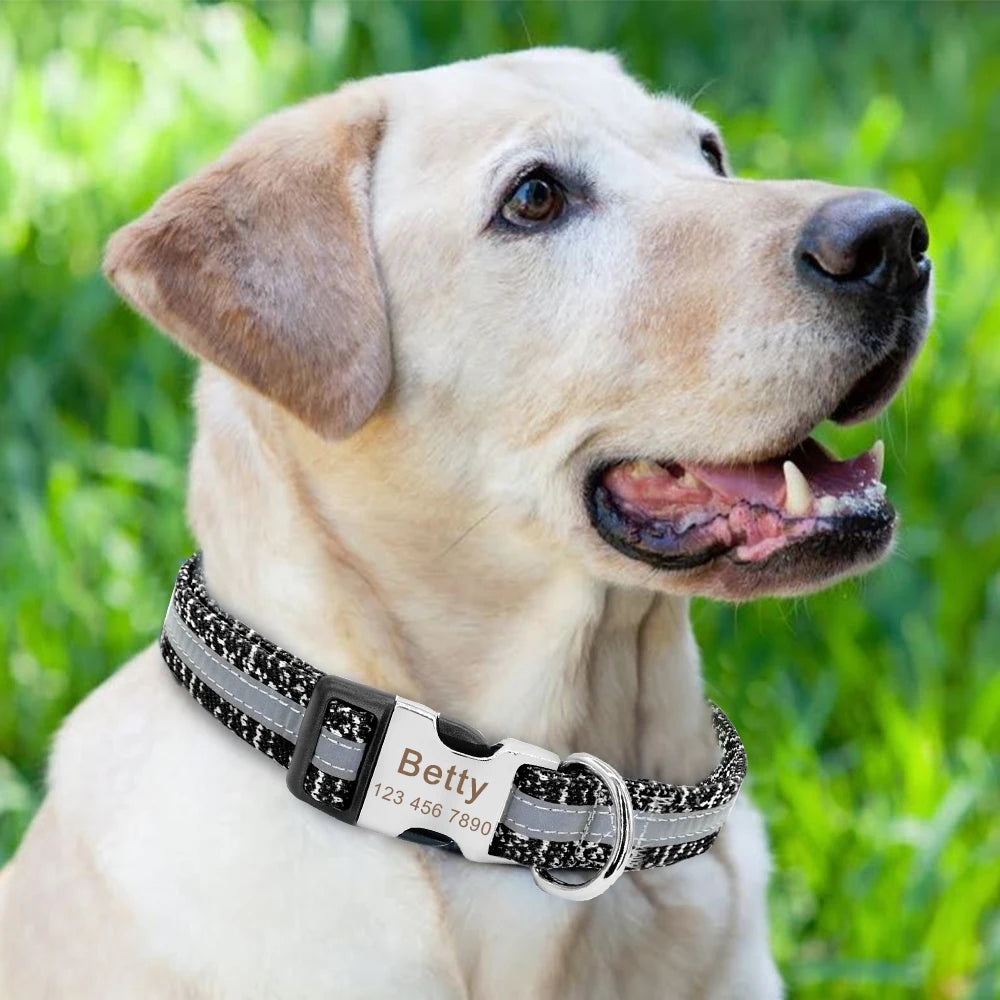 Personalized Reflective Dog Collar – Custom Engraved Nylon ID Tag | Adjustable Anti-Lost Collar for Medium & Large Dogs