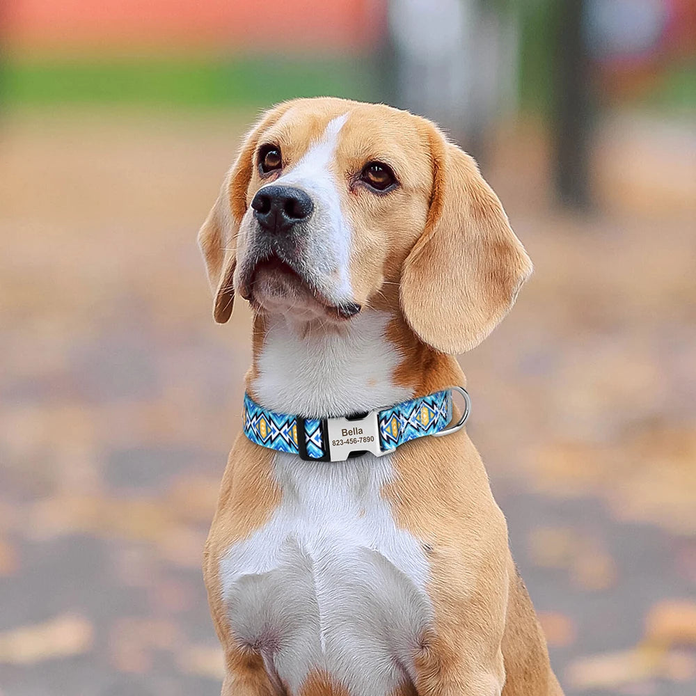 🎨 Personalized Nylon Dog Collar – Free Engraving, Adjustable Fit for Small to Large Dogs