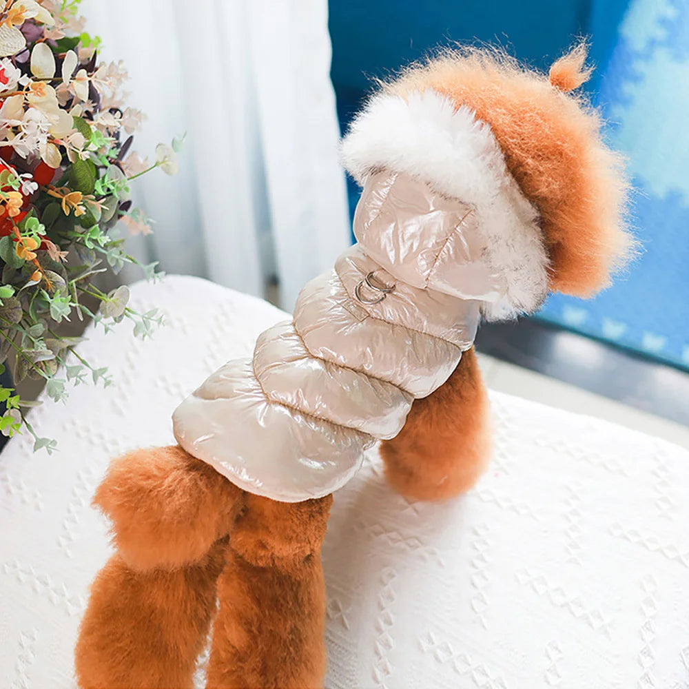 Warm Dog Clothes – Thick Cotton Winter Jacket with Fur Hood for Small & Medium Dogs